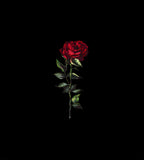 Italian Mulberry silk satin panel showing a single deep red rose with green leaves and a long stem against a black background.