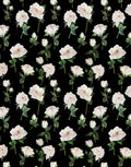 Italian Mulberry silk satin with elegant ivory roses and green leaves arranged on a deep black background