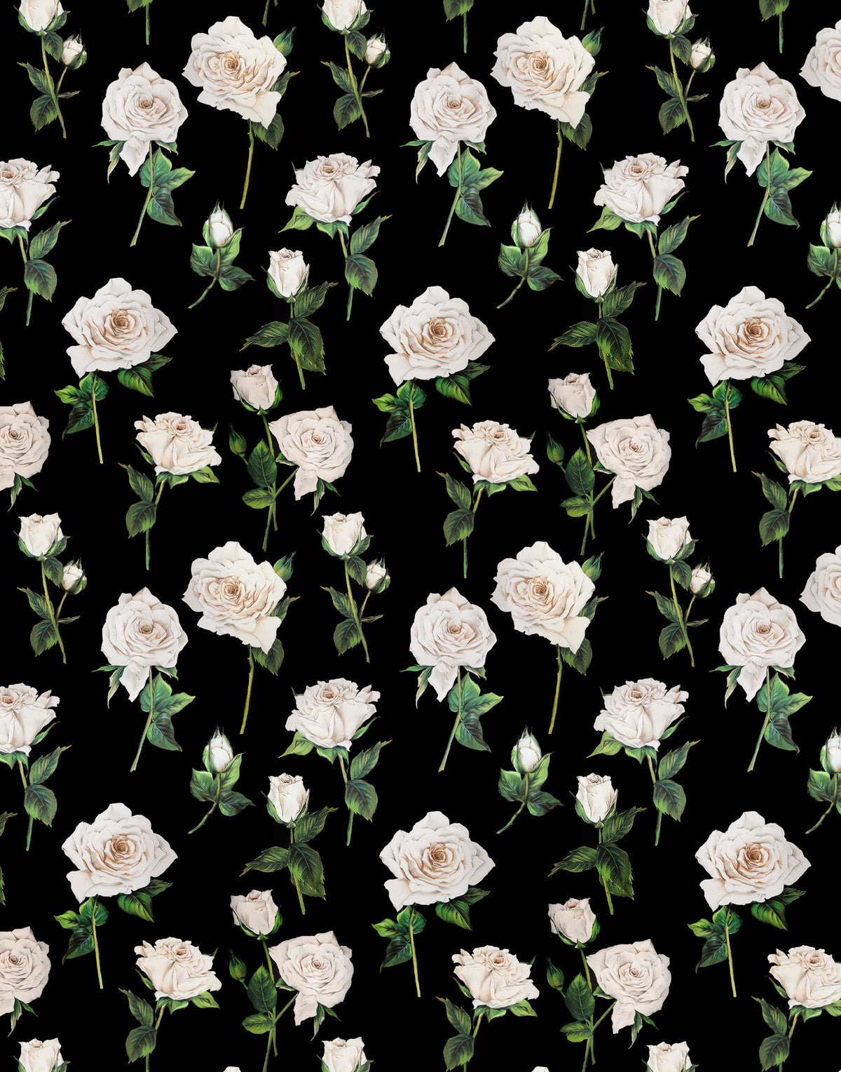 Italian Mulberry silk satin with elegant ivory roses and green leaves arranged on a deep black background