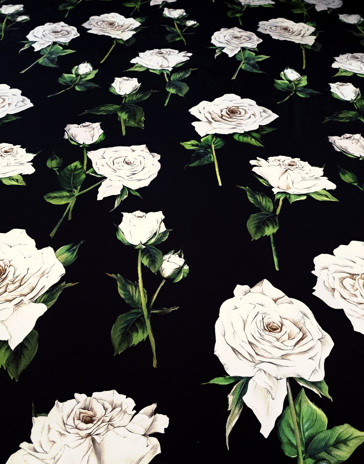 Italian Mulberry silk satin featuring elegant ivory roses and green leaves on a deep black background
